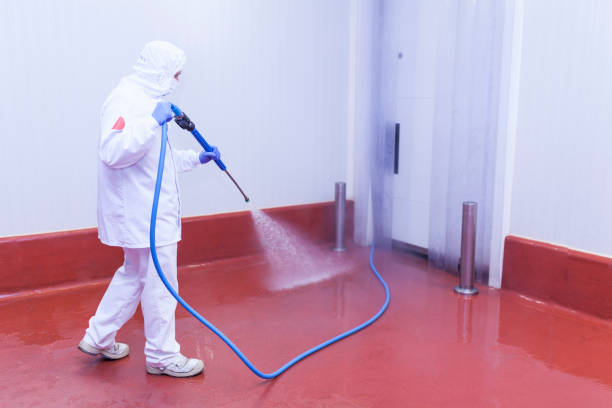 Trusted Palm Desert, CA  Pressure Washing Services Experts