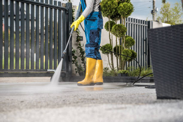 Animal Enclosure Cleaning in Palm Desert, CA